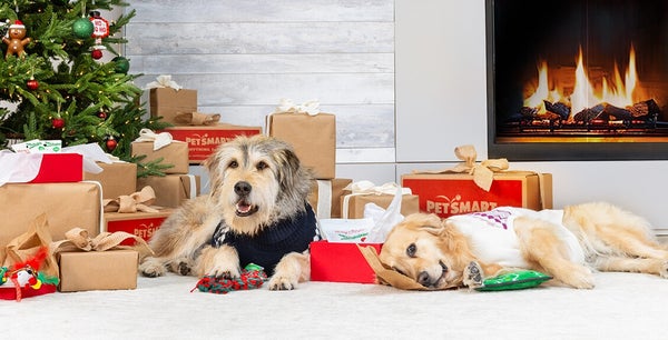 Two dogs lying in front of a christmas tree and fireplace