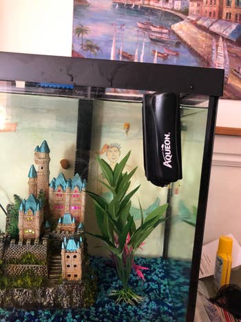 black algae cleaning magnet on outside of fish tank with mini castle inside