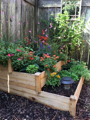different reviewer's garden bed filled with flowers