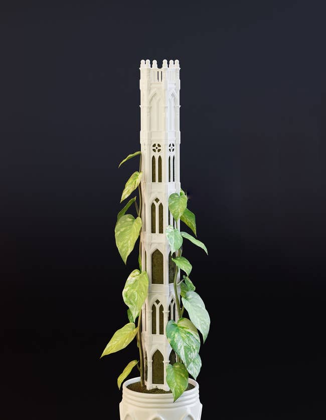 Decorative works operation designed to lucifer gothic architecture, featuring creeping greenery increasing done and astir its arches and windows