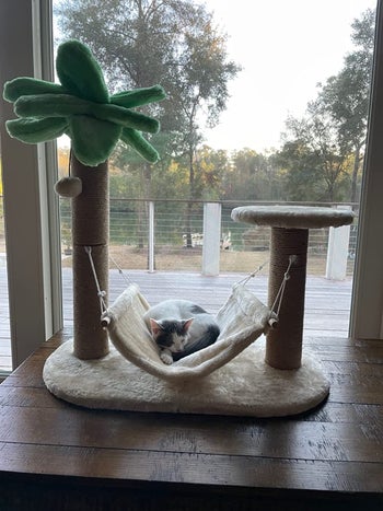 reviewer photo of their cat lying on the hammock between two scratching posts