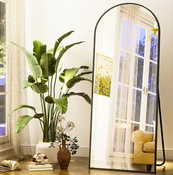 Arched level reflector reflecting sunlight, adjacent to a potted works and decorative vases, creating a cozy and stylish location decor setting