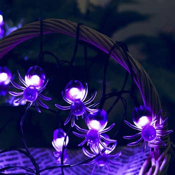 closeup look at the purple spider lights wrapped around a basket