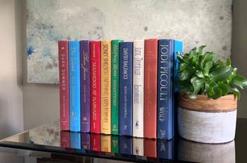 photo of the colorful faux book display next to a potted plant