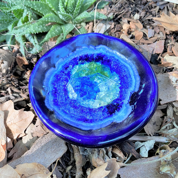 another photo of the cobalt blue butterfly puddler