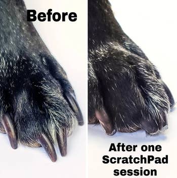 a before and after photo for the scratchpad
