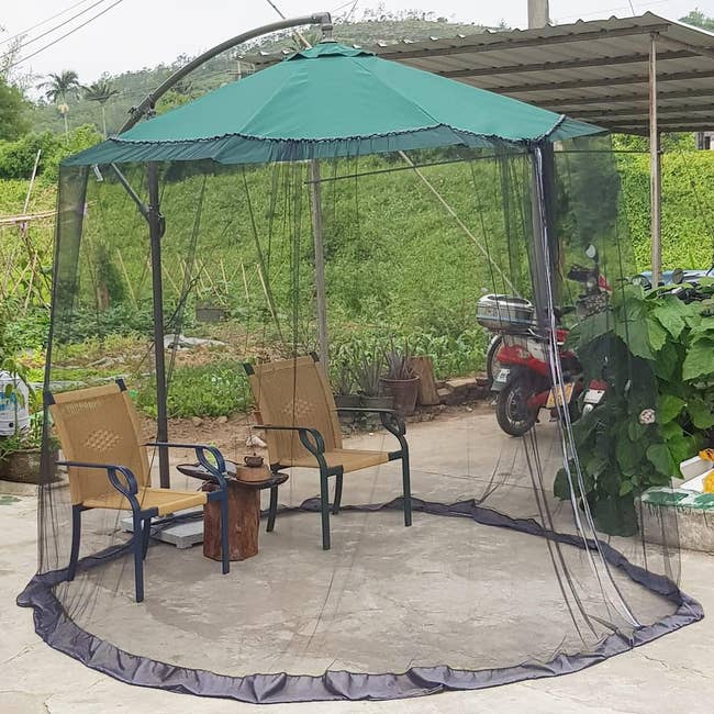 Outdoor patio setup with a greenish umbrella, 2 chairs, and a mosquito nett enclosure. Suitable for plot relaxation