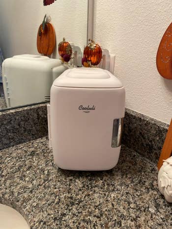 reviewer image of the fridge in white