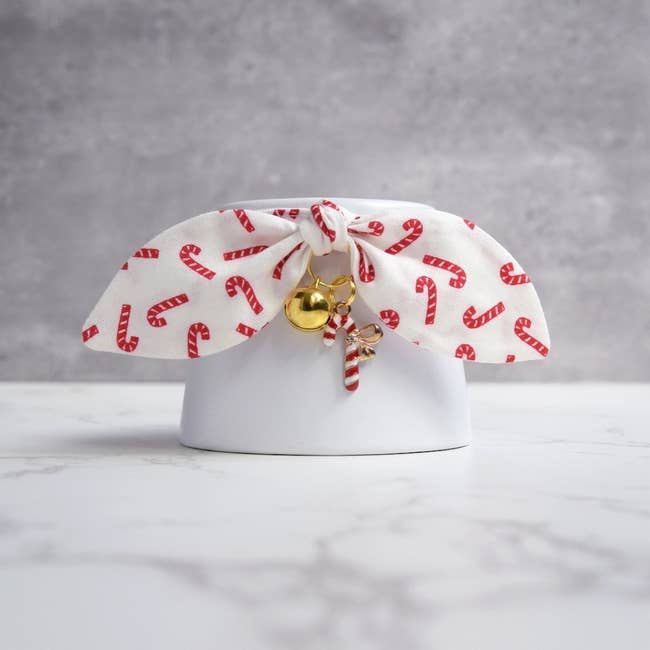 white cat collar with candy cane design, gold bell and candy cane charm on display