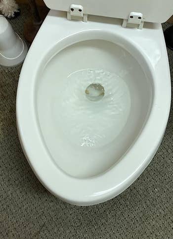 the same toilet bowl looking clean and white after the pumice stone is used