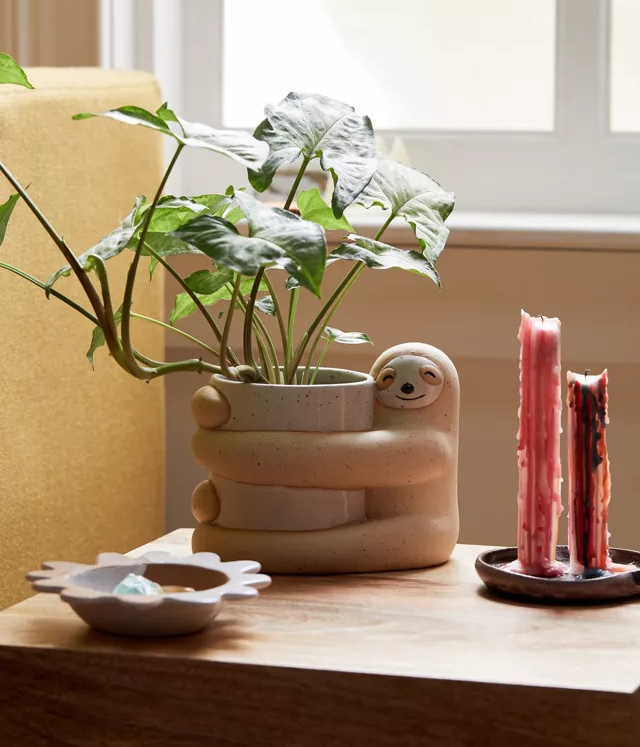 a happy little sloth planter depicting the sloth hugging the pot