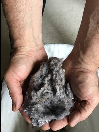 Reviewer holding lint pulled out of their dryer 