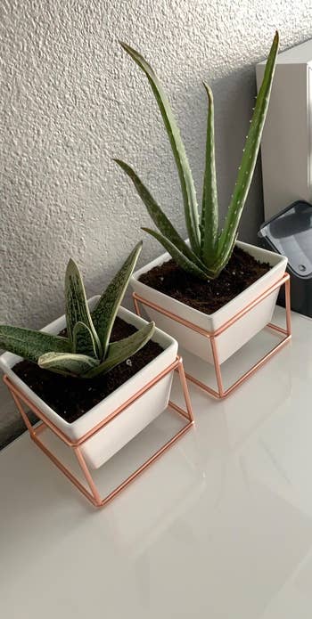 a pair of white planters with copper stands