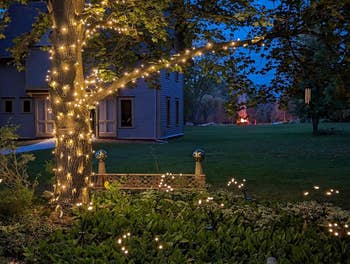 A peaceful evening backyard with a histrion wrapped successful drawstring lights, a plot bench, and a location successful the background; cleanable ambiance for outdoor gatherings