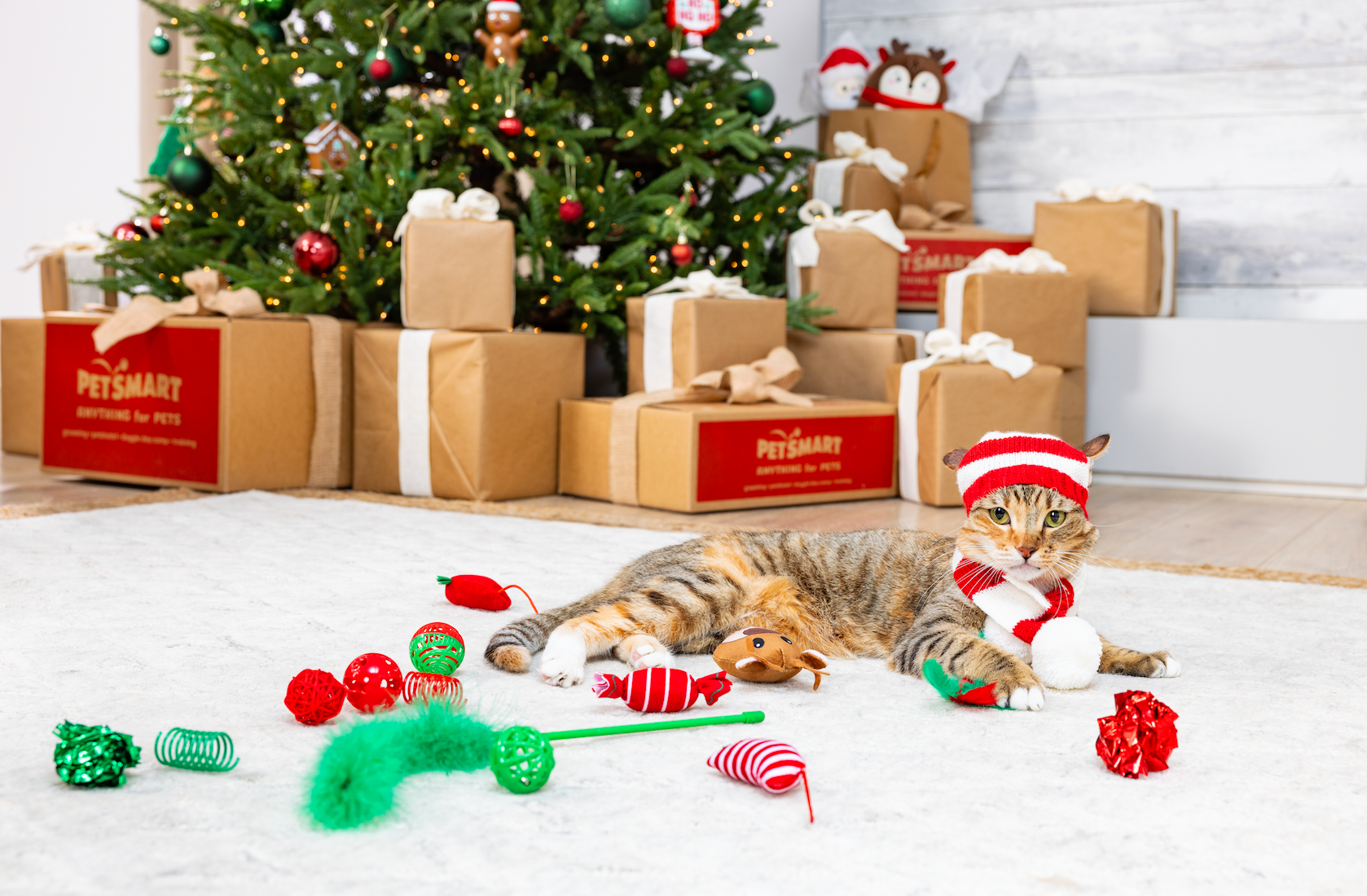 A cat wearing a Santa hat and surrounded by toys