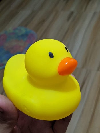 reviewer holding a yellow ducky toy