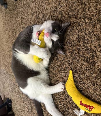 reviwer's gray and white cat playing with banana toy with another one at their feet