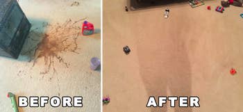before: chocolate on carpet after: no more chocolate 