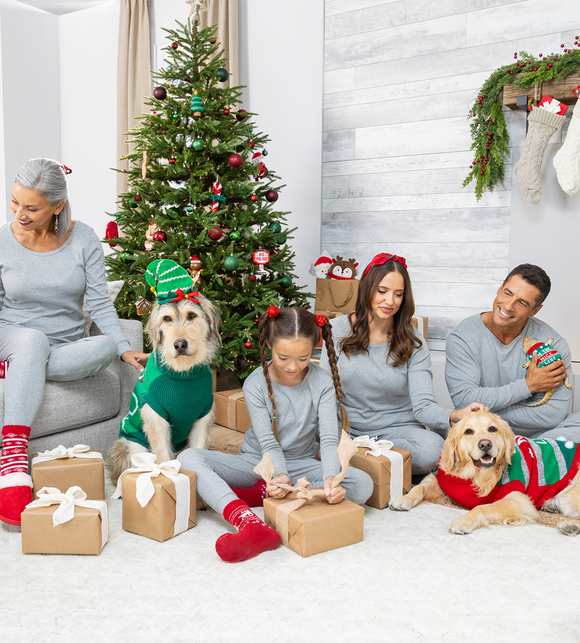 A family opening presents on Christmas, with their dogs and cat wearing festive costumes with them