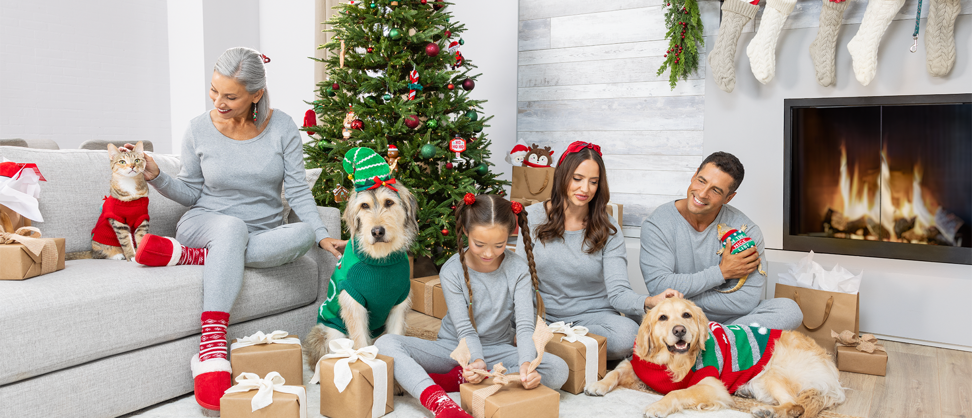 A family opening presents on Christmas, with their dogs and cat wearing festive costumes with them