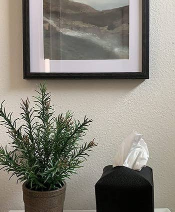 reviewer photo of the black tissue box cover on a shelf next to a plant