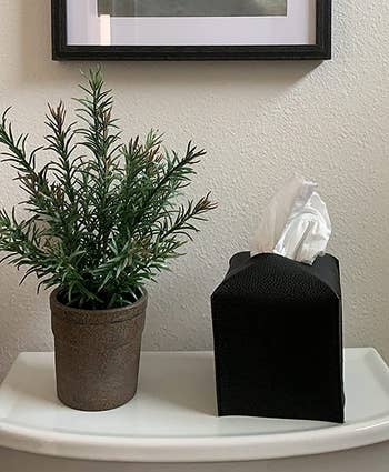 reviewer photo of the black tissue box cover on a shelf next to a plant