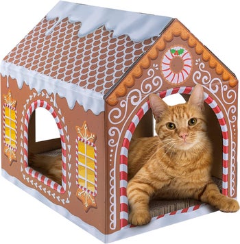 a gingerbread cardboard house with a cat inside