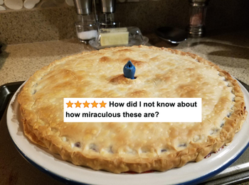 A reviewer's blue bird with only the head sticking out of the baked pie with five star review text 