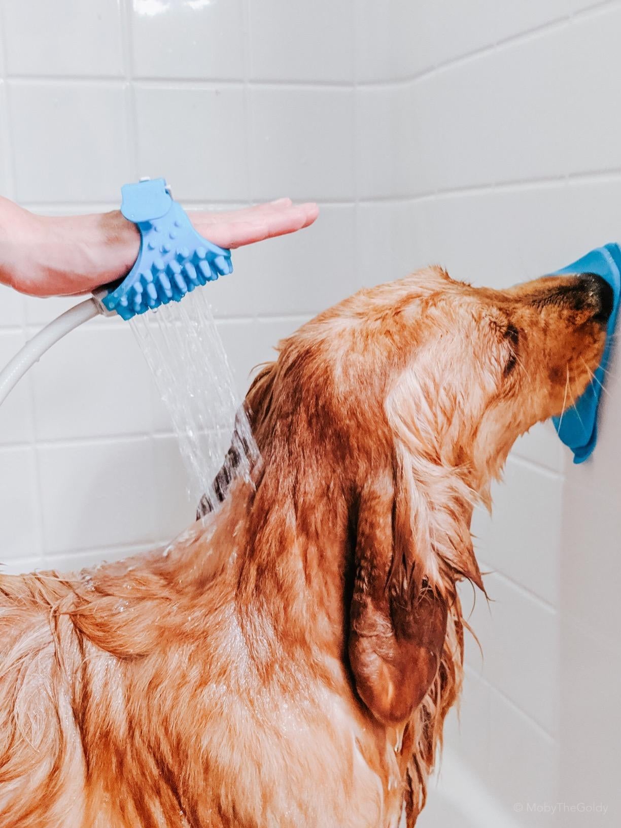 A reviewer bathing their dog with the sprayer, while the dog licks PB off a mat on the shower