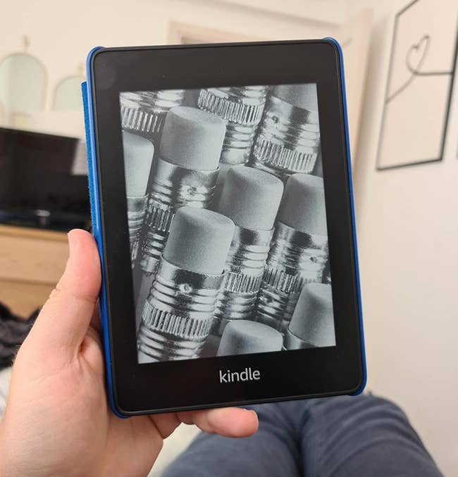 reviewer Kindle