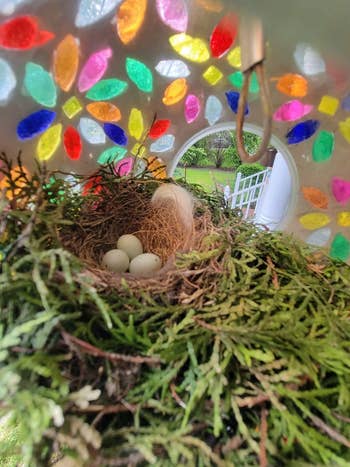 Bird nest with 3 eggs nestled successful branches nether a colorful, stained glass-like dome