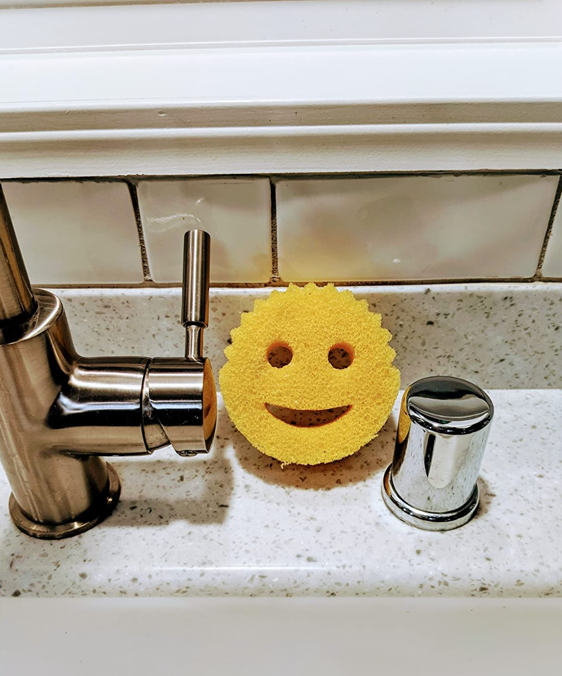 a reviewer's sponge on the sink