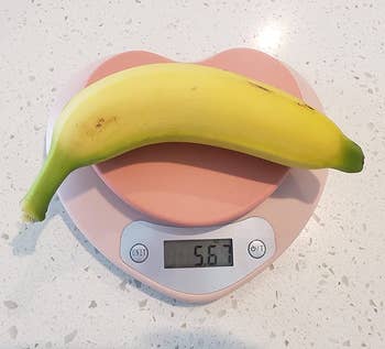 A banana on the scale with its weight being measured 