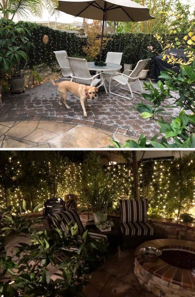 a reviewer shows the lights on bushes outside and turned on at night