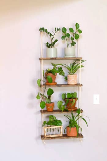 Four-tier plant shelf hanging on wall