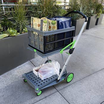 A shopping cart with groceries on a sidewalk beside plants