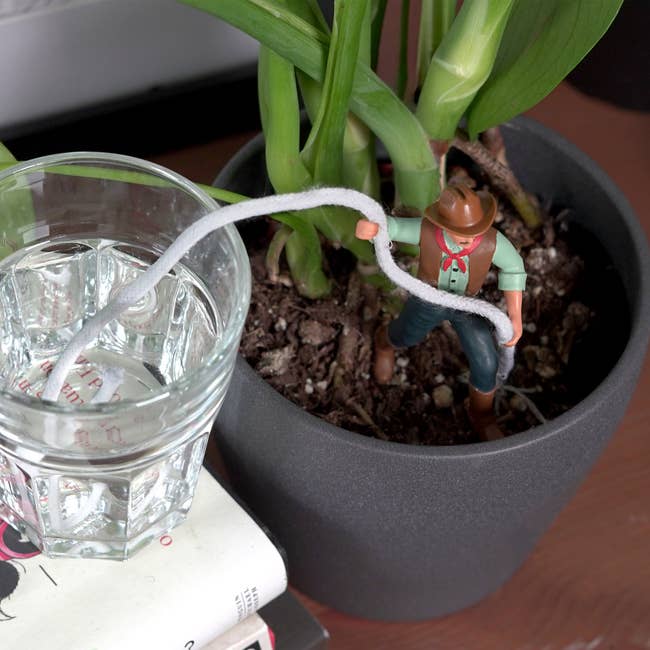 Toy cowboy utilizing a enactment      to link  a solid  of h2o  to a works  pot, arsenic  if watering oregon  lassoing it