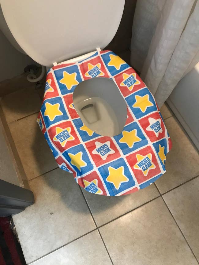 reviewer image of the potty cover on a toilet seat
