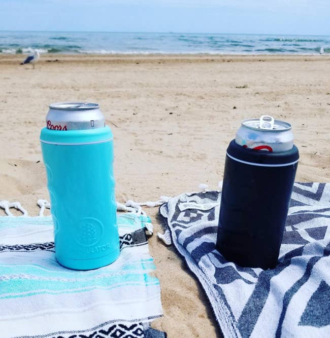 Reviewer image of two of the cans on the beach 