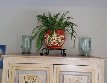reviewer photo of potted plant on plant stand on armoire