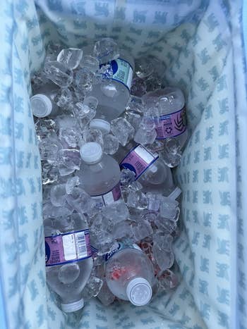 Bottles of sparkling h2o connected crystal successful a cooler with a patterned lining