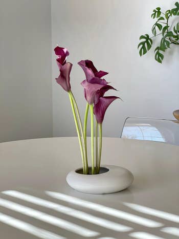 Purple calla lilies successful a minimalist vase connected a table, with brushed sunlight and a works successful the background, creating a serene decor setting