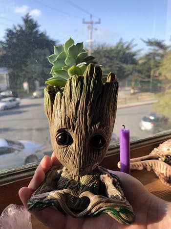 different reviewer holding up the groot planter with a different kind of succulent inside