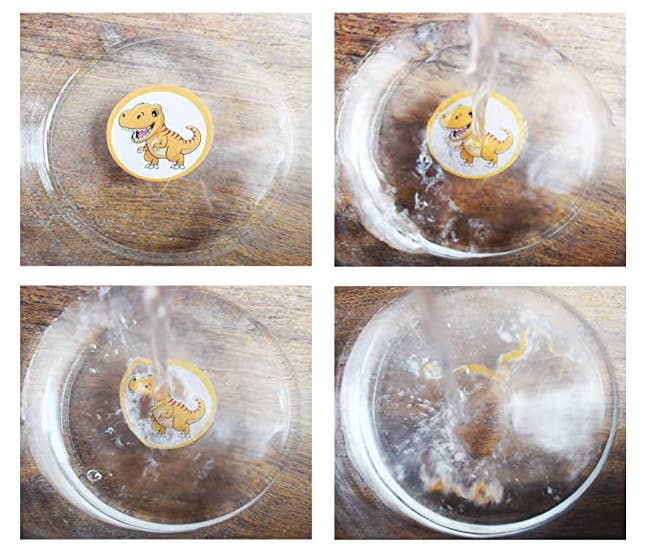 The target shown in various stages as it is placed in water and then dissolves when water is poured on it.