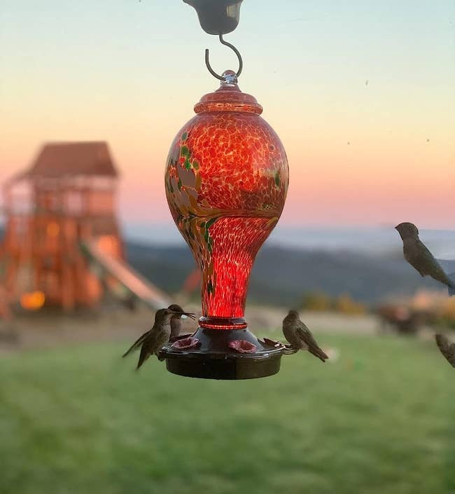 reviewer image of a hanging red hummingbird feeder and several hummingbirds perched on it