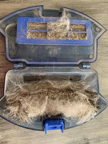a reviewer's open filter showing all the dirt and hair it sucked up