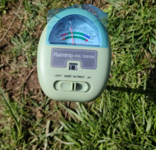a reviewer photo of the soil meter in a yard 