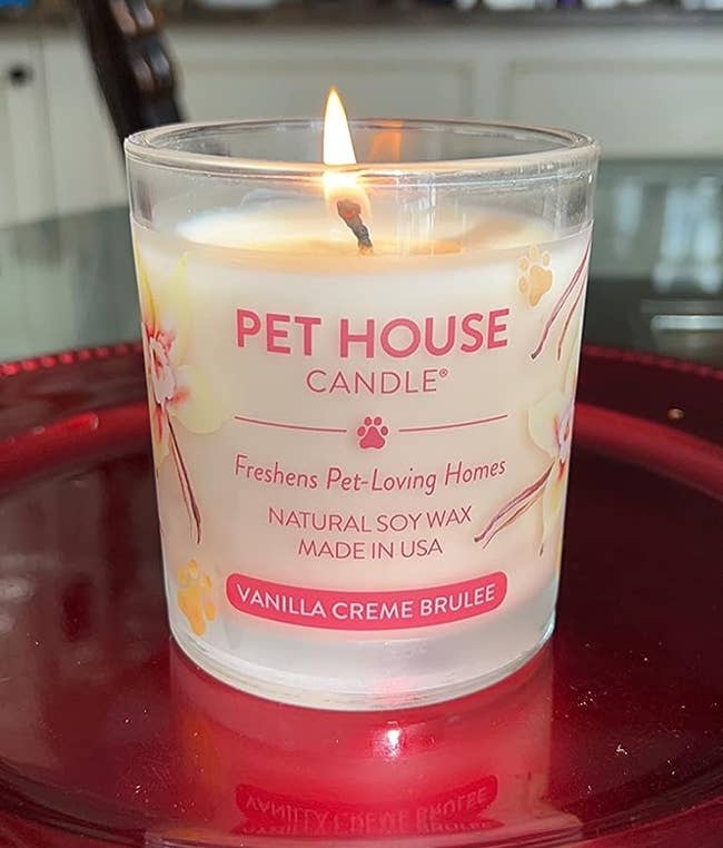 The candle successful vanilla crème brûlée
