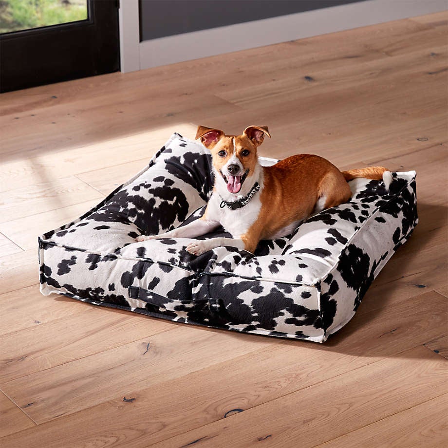 a dog sitting on the medium size bed