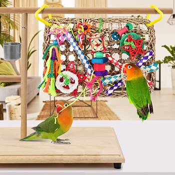 The toy hanging from a perch while two birds play with it